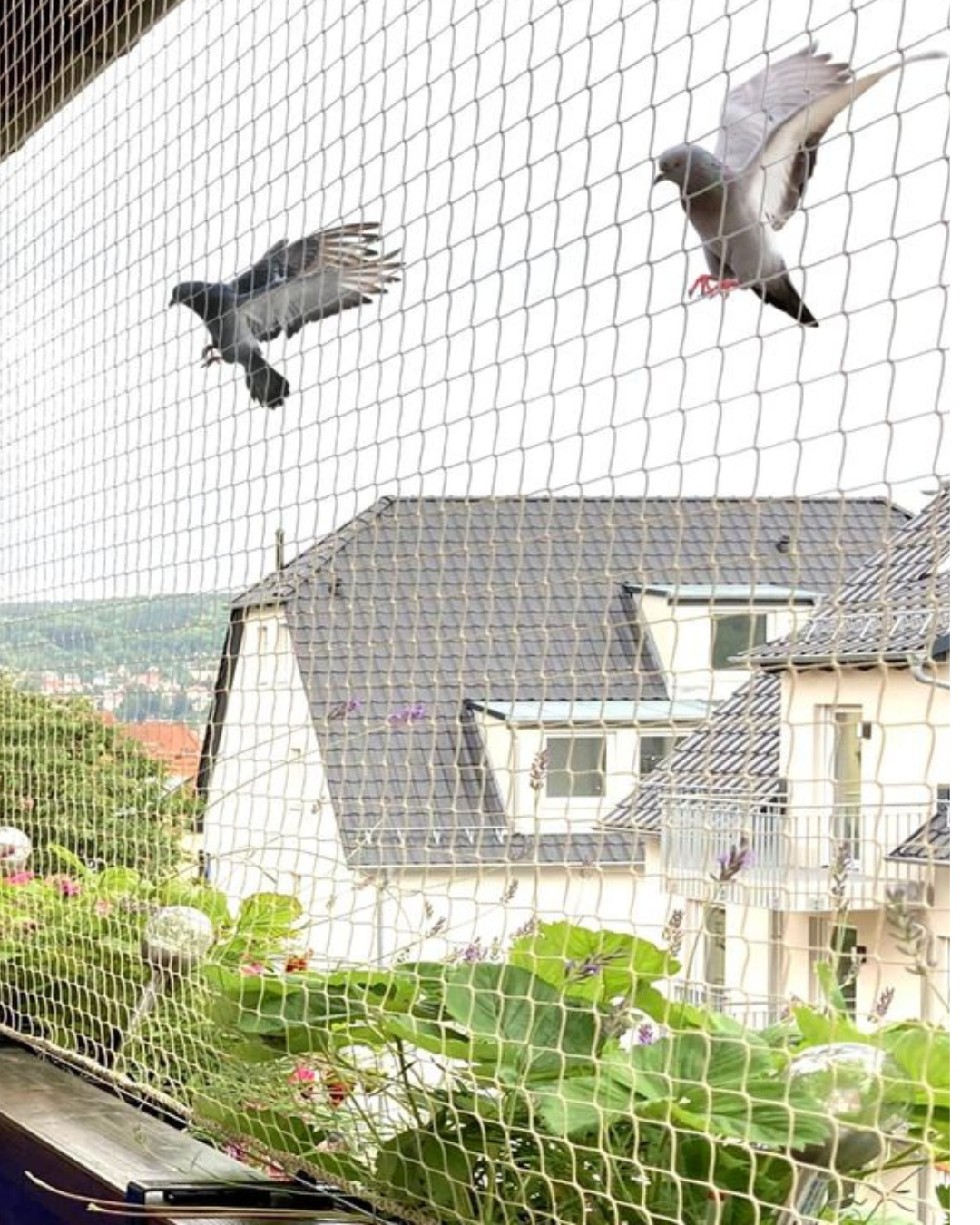 pigeon nets for balconies